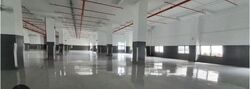 MARSILING LANE (D25), Factory #573663101